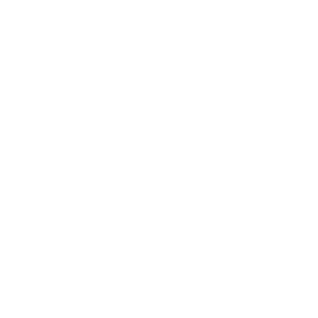 roadscanner_menu_icon